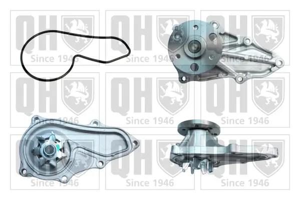 Wasserpumpe, Motorkühlung QUINTON HAZELL QCP3802