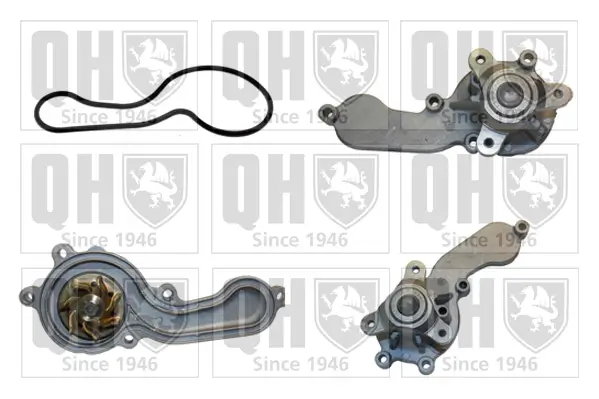 Wasserpumpe, Motorkühlung QUINTON HAZELL QCP3812