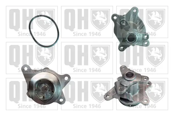 Wasserpumpe, Motorkühlung QUINTON HAZELL QCP3829