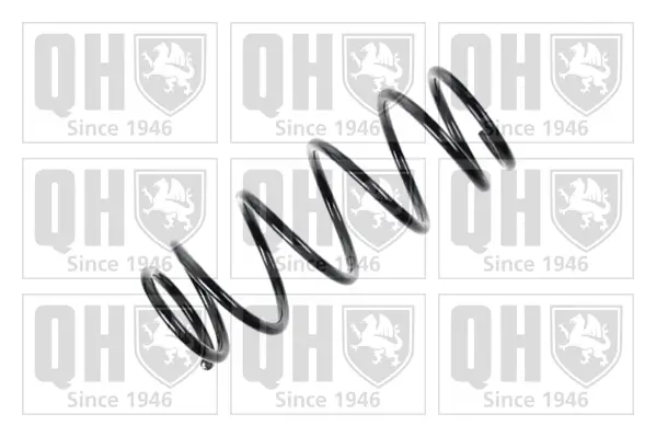 Fahrwerksfeder Hinterachse QUINTON HAZELL QCS5541