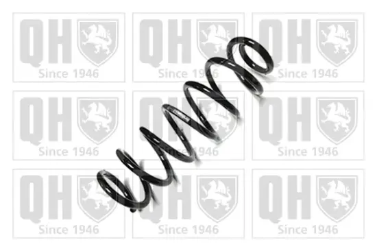 Fahrwerksfeder Hinterachse QUINTON HAZELL QCS5576 Bild Fahrwerksfeder Hinterachse QUINTON HAZELL QCS5576