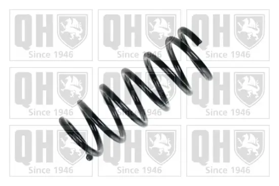 Fahrwerksfeder Hinterachse QUINTON HAZELL QCS6019 Bild Fahrwerksfeder Hinterachse QUINTON HAZELL QCS6019