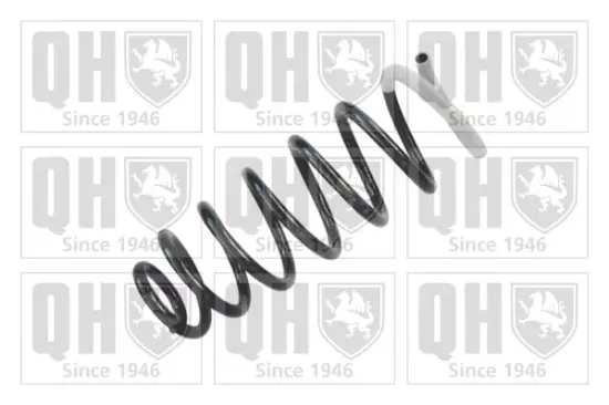 Fahrwerksfeder Hinterachse QUINTON HAZELL QCS6225 Bild Fahrwerksfeder Hinterachse QUINTON HAZELL QCS6225