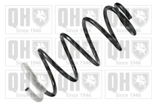 Fahrwerksfeder Hinterachse QUINTON HAZELL QCS6881 Bild Fahrwerksfeder Hinterachse QUINTON HAZELL QCS6881