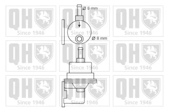 Kraftstoffpumpe QUINTON HAZELL QFP113 Bild Kraftstoffpumpe QUINTON HAZELL QFP113