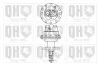 Kraftstoffpumpe QUINTON HAZELL QFP129 Bild Kraftstoffpumpe QUINTON HAZELL QFP129