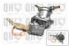 Kraftstoffpumpe QUINTON HAZELL QFP263