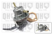 Kraftstoffpumpe QUINTON HAZELL QFP43