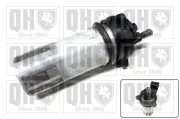 Kraftstoffpumpe QUINTON HAZELL QFP618