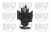 Kraftstoffpumpe QUINTON HAZELL QFP619