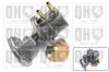 Kraftstoffpumpe QUINTON HAZELL QFP98