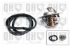 Thermostat, K&uuml;hlmittel QUINTON HAZELL QTH332K