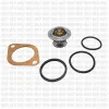 Thermostat, K&uuml;hlmittel QUINTON HAZELL QTH481K