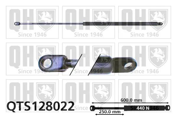 Gasfeder, Koffer-/Laderaum QUINTON HAZELL QTS128022