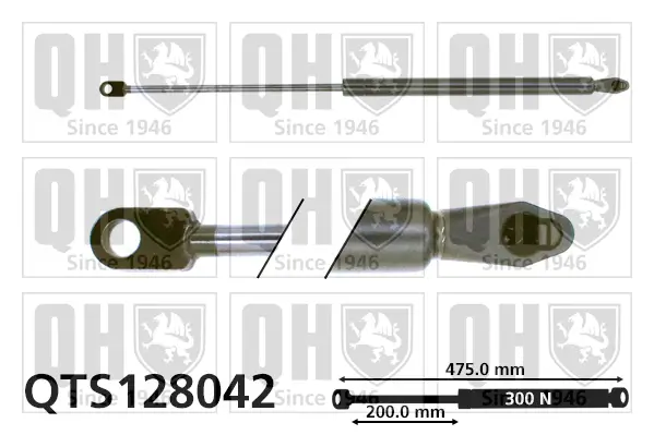 Gasfeder, Koffer-/Laderaum QUINTON HAZELL QTS128042