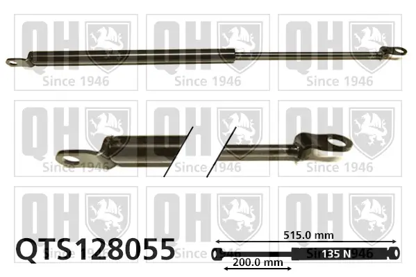 Gasfeder, Koffer-/Laderaum hinten links QUINTON HAZELL QTS128055