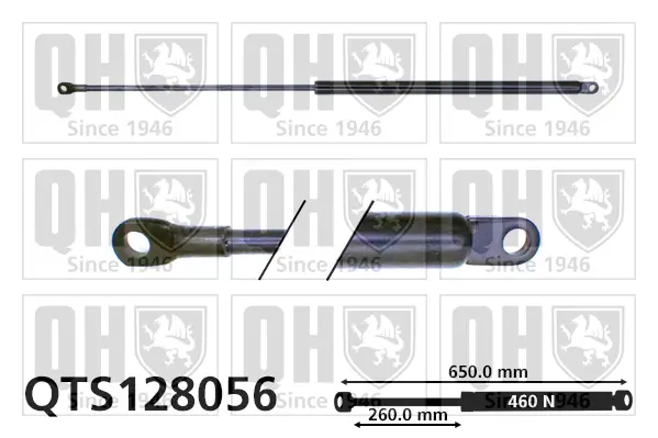 Gasfeder, Koffer-/Laderaum QUINTON HAZELL QTS128056