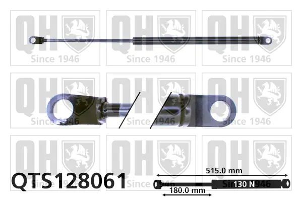 Gasfeder, Koffer-/Laderaum hinten links QUINTON HAZELL QTS128061