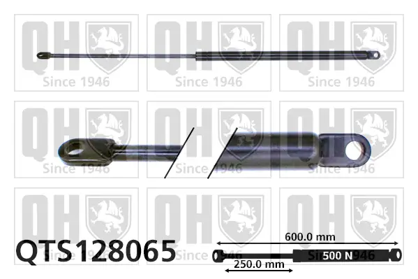 Gasfeder, Koffer-/Laderaum QUINTON HAZELL QTS128065