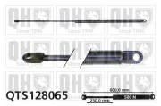 Gasfeder, Koffer-/Laderaum QUINTON HAZELL QTS128065