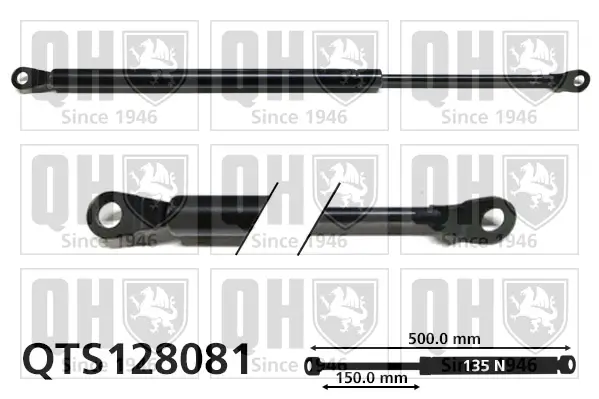Gasfeder, Koffer-/Laderaum hinten links QUINTON HAZELL QTS128081