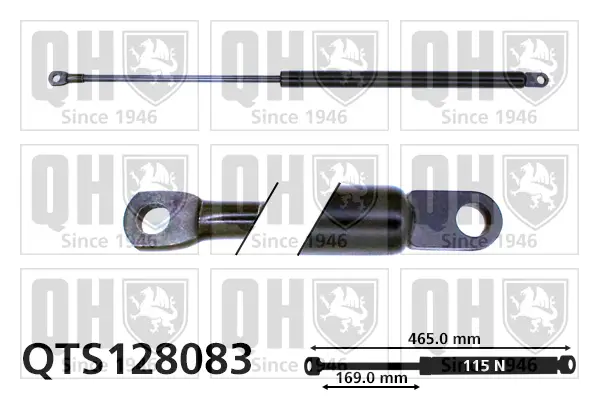 Gasfeder, Koffer-/Laderaum QUINTON HAZELL QTS128083
