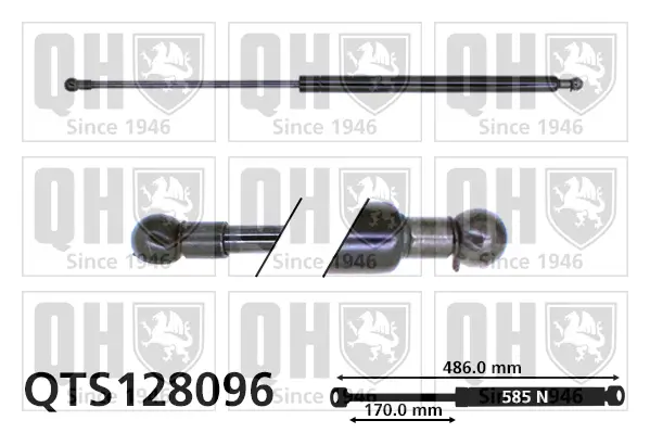 Gasfeder, Koffer-/Laderaum QUINTON HAZELL QTS128096
