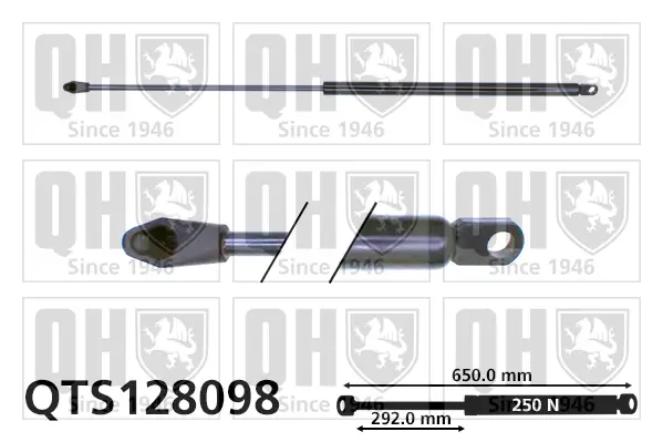 Gasfeder, Koffer-/Laderaum QUINTON HAZELL QTS128098