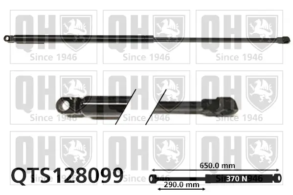 Gasfeder, Koffer-/Laderaum QUINTON HAZELL QTS128099