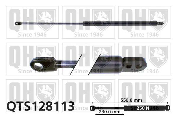 Gasfeder, Koffer-/Laderaum QUINTON HAZELL QTS128113
