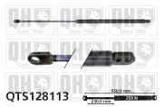 Gasfeder, Koffer-/Laderaum QUINTON HAZELL QTS128113