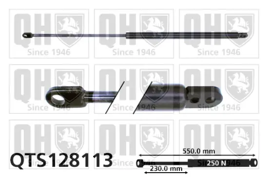 Gasfeder, Koffer-/Laderaum QUINTON HAZELL QTS128113 Bild Gasfeder, Koffer-/Laderaum QUINTON HAZELL QTS128113