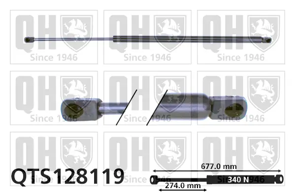 Gasfeder, Koffer-/Laderaum QUINTON HAZELL QTS128119