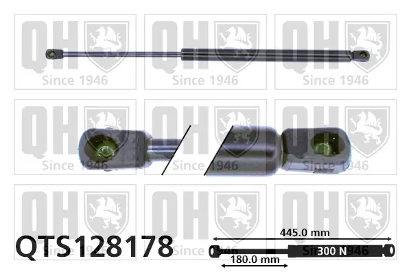 Gasfeder, Koffer-/Laderaum QUINTON HAZELL QTS128178