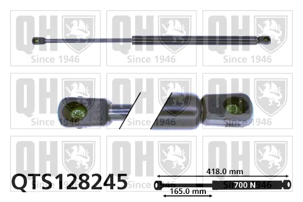 Gasfeder, Koffer-/Laderaum QUINTON HAZELL QTS128245