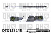 Gasfeder, Koffer-/Laderaum QUINTON HAZELL QTS128245