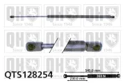 Gasfeder, Koffer-/Laderaum QUINTON HAZELL QTS128254