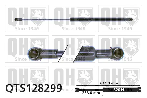 Gasfeder, Koffer-/Laderaum QUINTON HAZELL QTS128299
