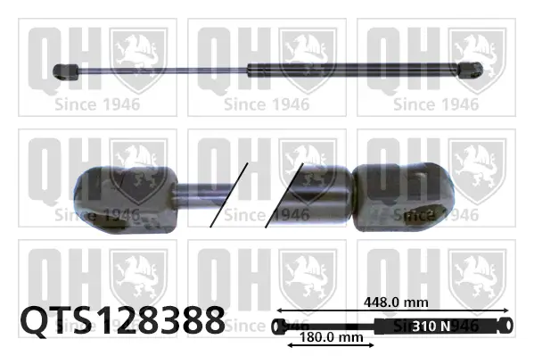 Gasfeder, Koffer-/Laderaum QUINTON HAZELL QTS128388