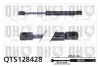 Gasfeder, Koffer-/Laderaum QUINTON HAZELL QTS128428