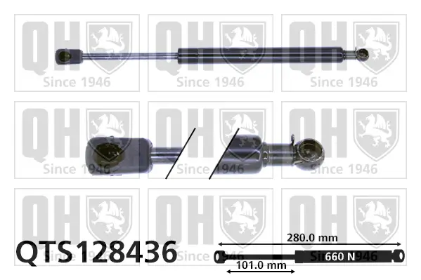 Gasfeder, Koffer-/Laderaum QUINTON HAZELL QTS128436