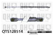 Gasfeder, Koffer-/Laderaum QUINTON HAZELL QTS128514