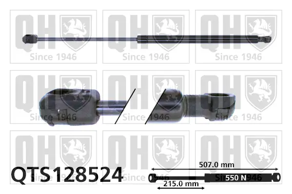 Gasfeder, Koffer-/Laderaum beidseitig QUINTON HAZELL QTS128524