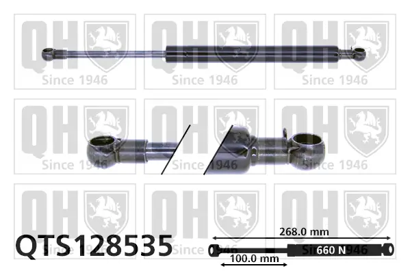 Gasfeder, Koffer-/Laderaum QUINTON HAZELL QTS128535