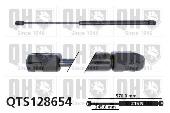 Gasfeder, Koffer-/Laderaum QUINTON HAZELL QTS128654