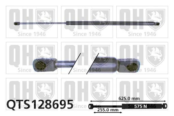 Gasfeder, Koffer-/Laderaum QUINTON HAZELL QTS128695