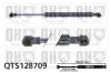 Gasfeder, Koffer-/Laderaum QUINTON HAZELL QTS128709