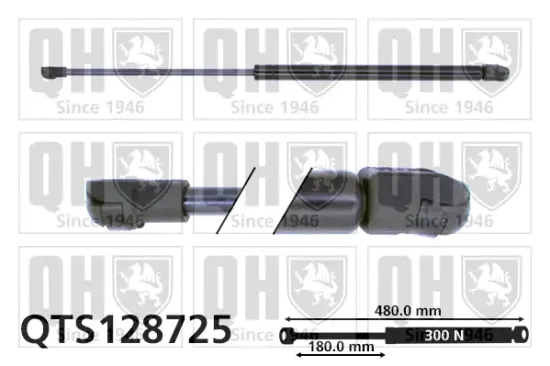 Gasfeder, Motorhaube QUINTON HAZELL QTS128725 Bild Gasfeder, Motorhaube QUINTON HAZELL QTS128725