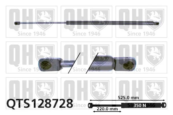 Gasfeder, Koffer-/Laderaum QUINTON HAZELL QTS128728