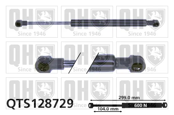Gasfeder, Koffer-/Laderaum QUINTON HAZELL QTS128729